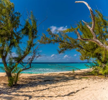 Ağaçları aşıp Grand Türk 'teki Valilik plajına doğru bir manzara