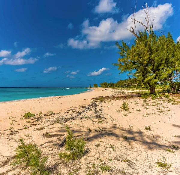 Una Vista Desde Playa Governors Hacia Playa Norman Saunders Grand — Foto de Stock