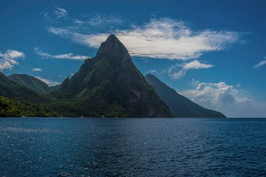 Sabah St. Lucia 'daki Soufriere' den Pitonların yakın çekimi.