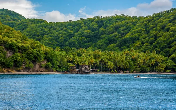 Sabahın erken saatlerinde Anse Chastanet Plajı, St Lucia 'ya doğru
