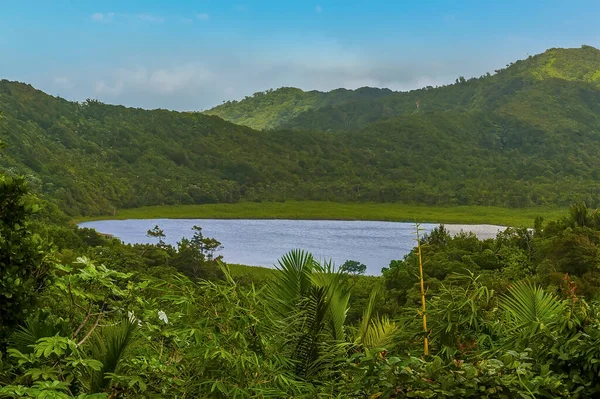 Una Vista Sobre Follaje Selva Hacia Lago Grand Etang Selva —  Fotos de Stock