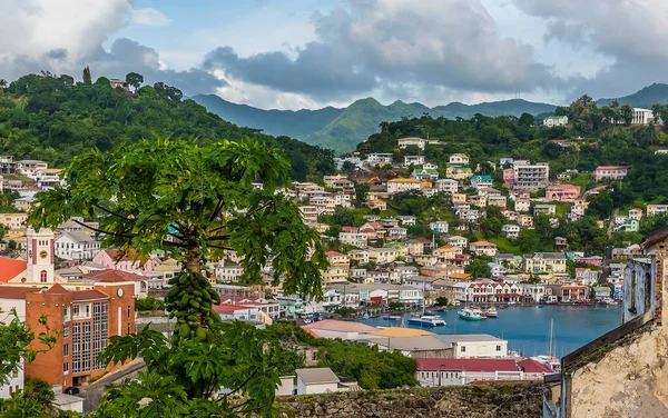 St Georges, Grenada 'daki iç limanın kıyı şeridi manzarası