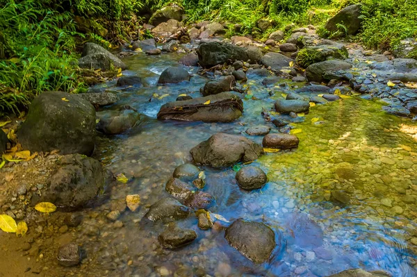 Una Vista Valle Dal Gendarme Nella Foresta Pluviale Della Martinica — Foto Stock