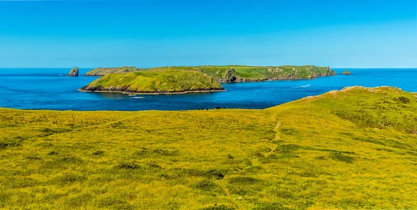 Uitzicht Skomer Island Broedplaats Voor Atlantische Papegaaiduikers Vanaf Deer Park — Stockfoto