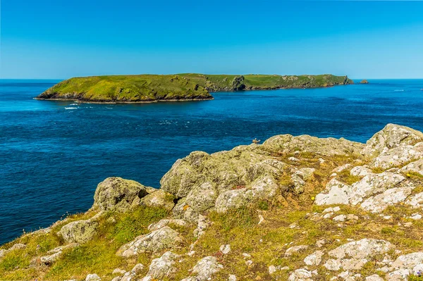 Vista Dell Isola Skomer Terreno Fertile Pulcinelle Atlantiche Affioramento Roccioso — Foto Stock