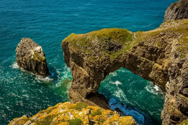 ウェールズの緑の橋と夏のウェールズのペンブルックシャー海岸のRazerbillのカモメと岩の山 — ストック写真
