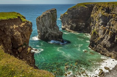 Yazın Galler 'in Pembrokeshire sahilinde üreyen Raverbill Martıları ile dolu bir kaya yığınının bulunduğu bir koy manzarası.