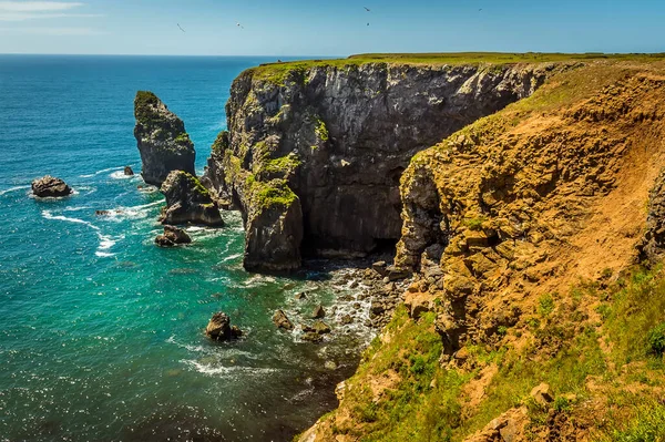 Rock Stacks Secluded Cove Pembrokeshire Coast Wales Summer — Stock Photo, Image