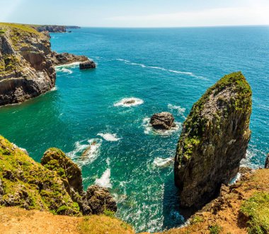 Yaz başında Galler 'in Castlemartin yakınlarındaki Pembrokeshire sahilinde istif ve kütükler.
