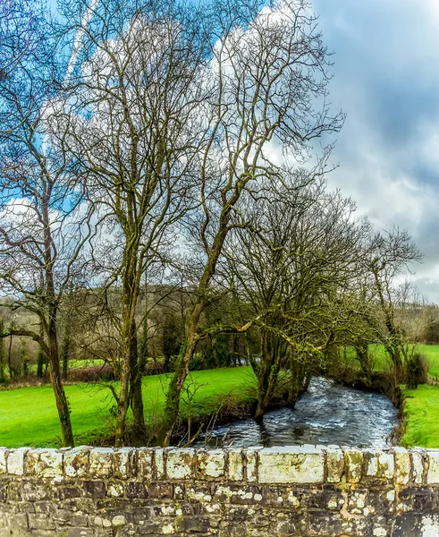 Vue Sur Rivière Syfynwy Depuis Pont Gelli Pays Galles Pont — Photo