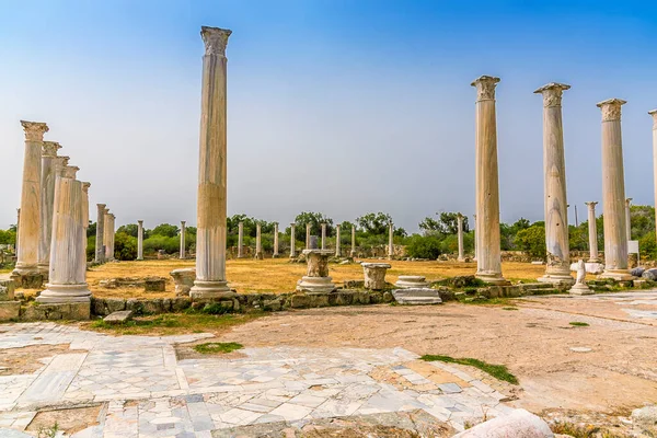 Colonnade Palaestra Gymnase Ancienne Ville Romaine Salamis Près Famagouste Nord — Photo