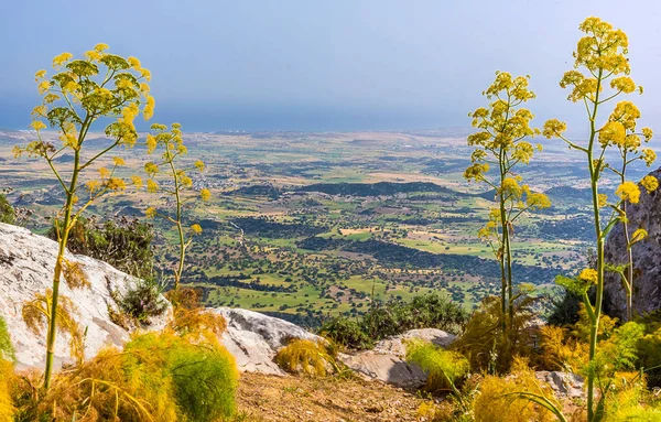 Вид Замка Кантара Южное Побережье Кипра — стоковое фото