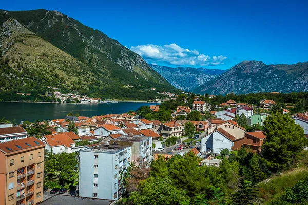 Subida Hasta Fortaleza Con Vistas Kotor Montenegro Bahía Kotor Verano — Foto de Stock