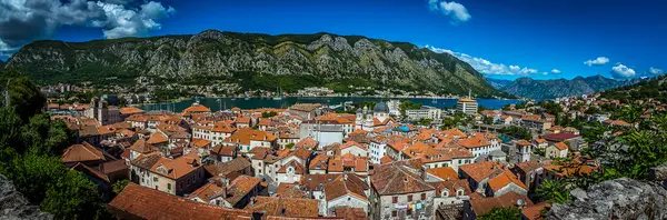 夏のコトル旧市街 スタリ グラッド とモンテネグロコトル湾のパノラマ — ストック写真