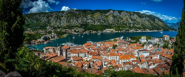 Vista Del Casco Antiguo Kotor Stari Grad Bahía Kotor Montenegro — Foto de Stock