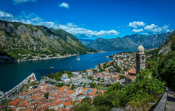Vista Bahía Kotor Montenegro Verano — Foto de Stock