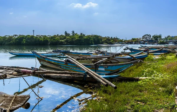 Traditional Fishing Canoes Moored Banks Lagoon Negombo Sri Lanka — Stock Photo, Image