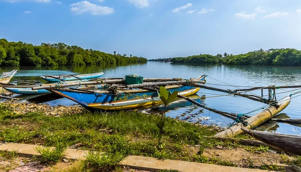 Traditional Fishing Canoes Outriggers Moored Banks Lagoon Negombo Sri Lanka — Stock Photo, Image