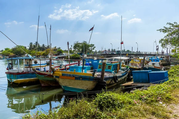 Fishing Fleet Negombo Sri Lanka Moored Banks Lagoon — Stock Photo, Image