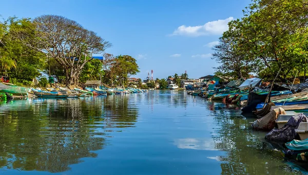 View Tributary Leading Lagoon Negombo Sri Lanka — Stock Photo, Image