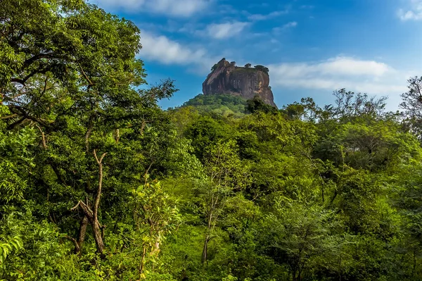 Sigirya 'nın kayalık kalesi Sri Lanka' daki ağaçlardan oluşan bir gölgeliğin hemen üstünde görünür.