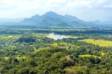 Sigirya, Sri Lanka 'daki kaya kalesinin tepesinden orman tepe örtüsü boyunca manzara.