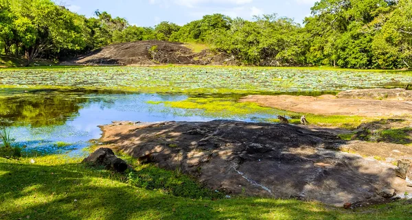 Lago Junto Las Antiguas Ruinas Medirigiriya Vatadage Sri Lanka —  Fotos de Stock