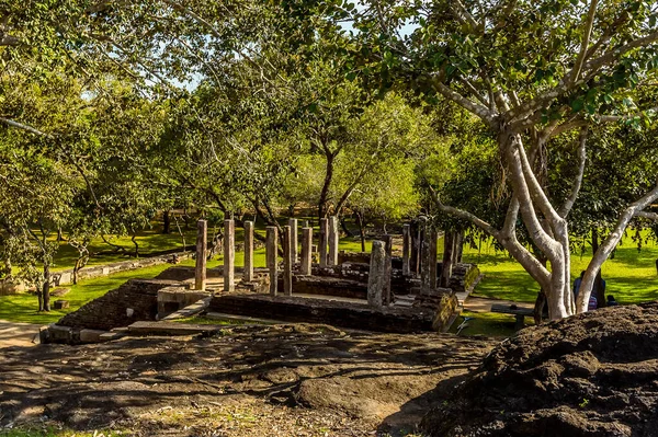 Eine Antike Stupa Ruine Zwischen Bäumen Medirigiriya Vatadage Sri Lanka — Stockfoto