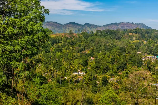 Une Vue Sur Les Hauts Plateaux Jungle Sri Lanka Asie — Photo