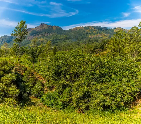 Las Colinas Elevan Por Encima Del País Montaña Sri Lanka —  Fotos de Stock