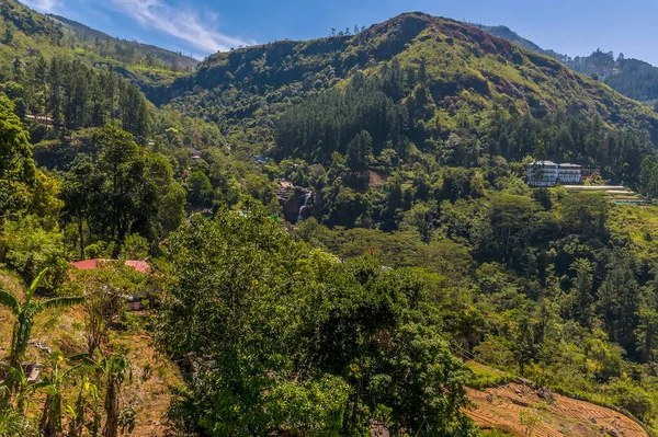 Une Vue Sur Pays Thé Des Hautes Terres Près Réservoir — Photo