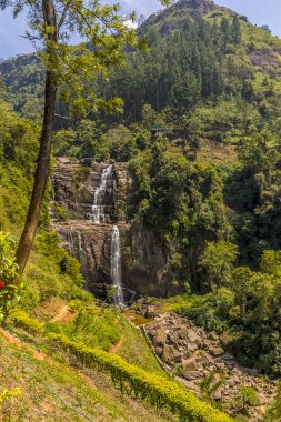 Ramboda üzerinden akan sular Sri Lanka, Asya 'daki çay ülkesine dökülüyor.