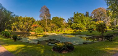 Peradeniya, Kandy, Sri Lanka, Asya Botanik Bahçeleri 'nde sessiz ve sakin bir göl.