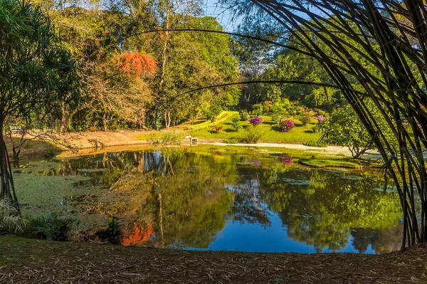 Lago Con Una Superficie Espejo Los Jardines Botánicos Peradeniya Kandy — Foto de Stock