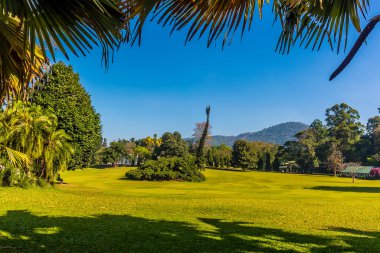 Peradeniya, Kandy, Sri Lanka, Asya 'daki Botanik Bahçeleri' nin ortasından bir manzara