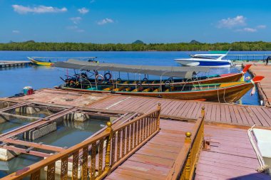 Tayland 'ın Phang Nga Körfezi' ndeki Ko Panyi kaleleri üzerine inşa edilmiş yerleşim yerlerini ziyaret eden tekneler için iniş sahnesi.