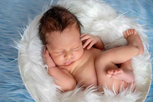 Newborn Baby Sleeps Blue Background Days — Stock Photo, Image