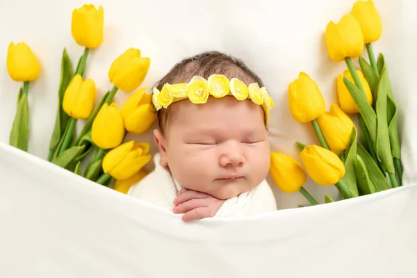 Newborn Baby Sleeps Sweetly Toy Basket Flowers Tulips — Stock Photo, Image