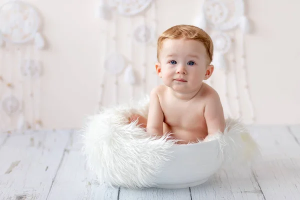Cute Baby Boy Months Old Sitting Basket Looking Camera Baby — Stock Photo, Image