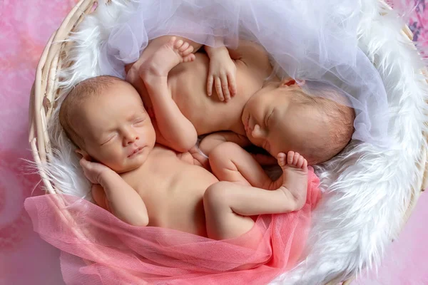 在粉色明亮的背景上睡在篮子里的新生双胞胎的肖像 新生婴儿的睡眠 — 图库照片