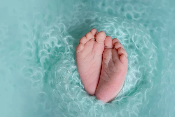 婴儿的腿 新生儿的腿 文字空间 — 图库照片