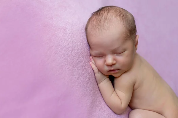 Retrato Una Niña Recién Nacida Durmiendo Sobre Fondo Manta Rosa —  Fotos de Stock