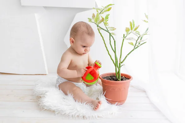Małe Dziecko Chłopiec Miesięcy Siedzi Przy Oknie Konewką Podlewa Kwiat — Zdjęcie stockowe