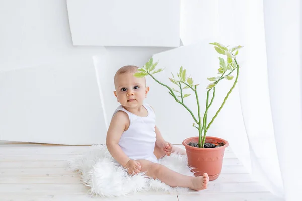 Małe Dziecko Chłopiec Miesięcy Siedzi Białych Ubraniach Jasnym Mieszkaniu Przy — Zdjęcie stockowe