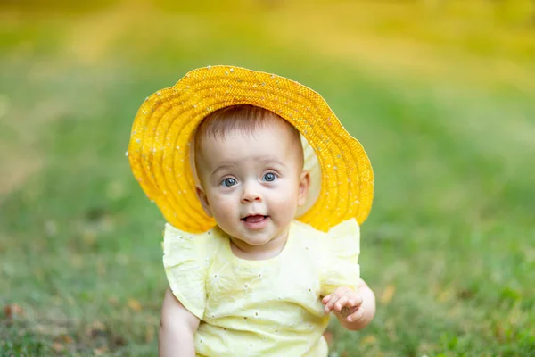 Портрет Маленької Дівчинки Місяців Сидить Влітку Зеленій Траві Жовтій Літній — стокове фото