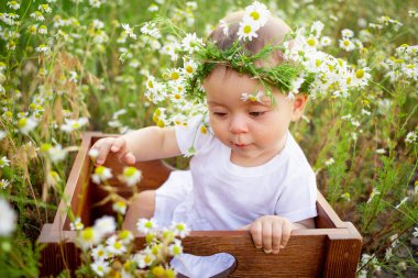 Yedi aylık bir kızın portresi papatya tarlasında beyaz bir çelenkle oturuyor, temiz havada sağlıklı bir yürüyüş.