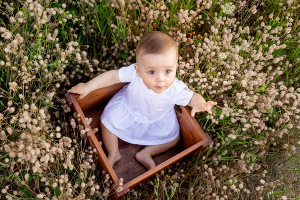 Маленька Дівчинка Місяців Сидячи Серед Польової Трави Білій Сукні Здорова — стокове фото