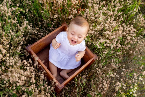 Сміється Маленька Дівчинка Місяців Сидячи Серед Польової Трави Білій Сукні — стокове фото