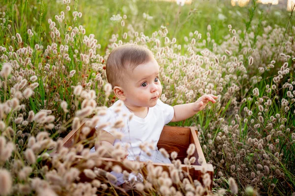 Kleines Mädchen Monate Alt Spielt Auf Dem Grünen Rasen Rosafarbenen — Stockfoto