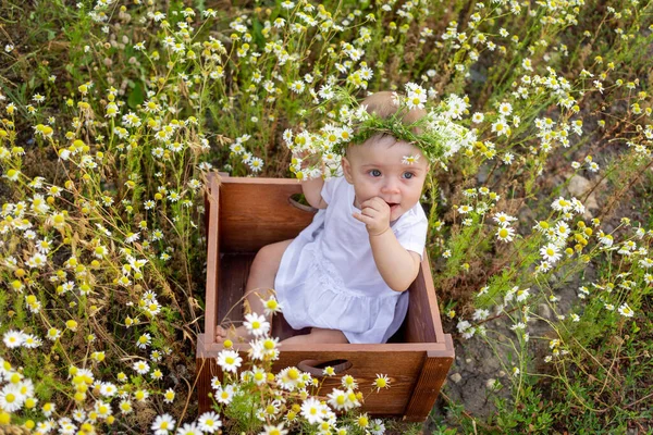 Riéndose Niña Meses Edad Sentada Entre Hierba Del Campo Vestido —  Fotos de Stock